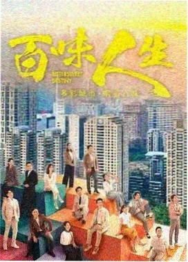 双面档案电视剧在线观看