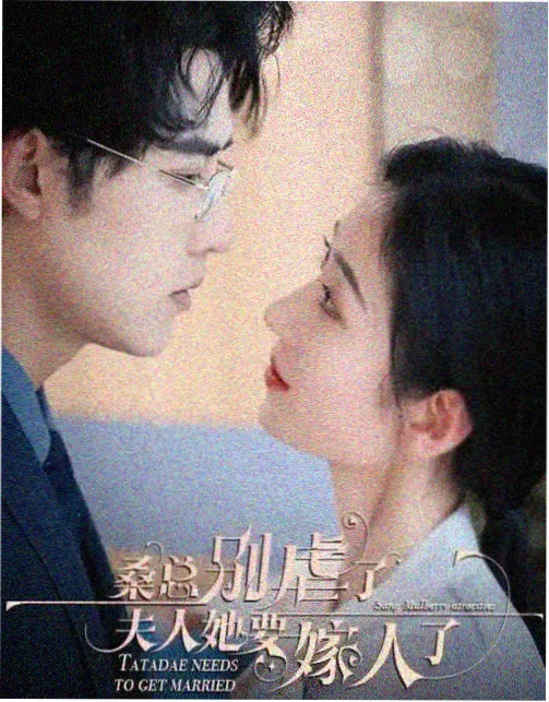 山海旧局剧集免费观看